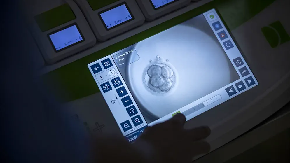 En 2023, 6513 couples ont eu recours à une méthode de fécondation in vitro. Suite à ces traitements, 2511 enfants sont nés vivants (archives).