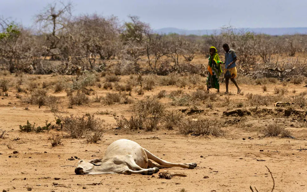 On the front line: indigenous people in climate change - Gallery. Severe droughts are threatening the traditional way of life of pastoral peoples in East Africa. 