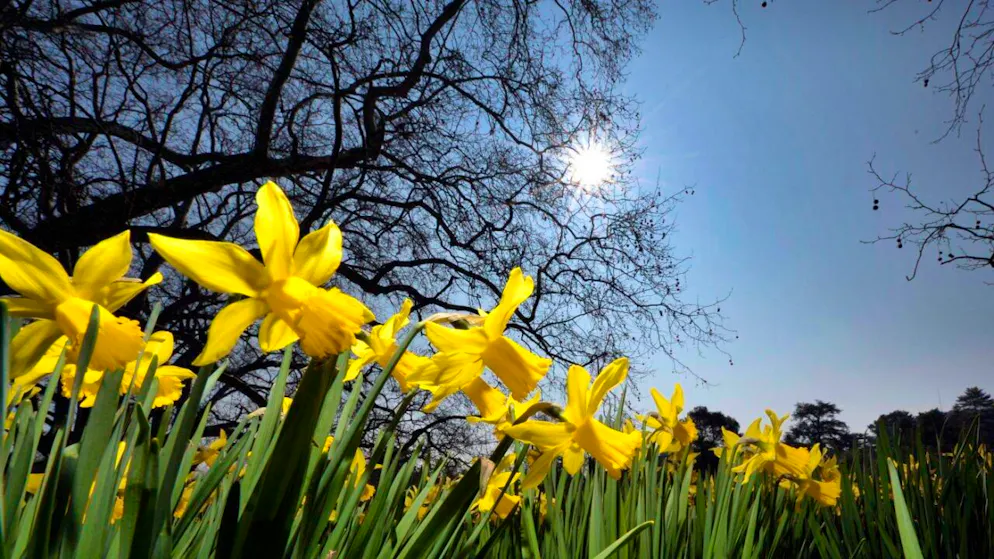 Molto sole oggi a nord delle Alpi.
