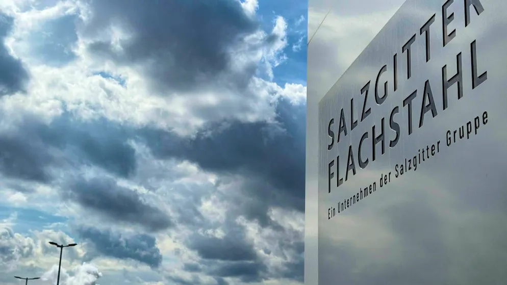 Small plane crashes on steel company premises: two dead - Gallery. Two men die in the crash. 