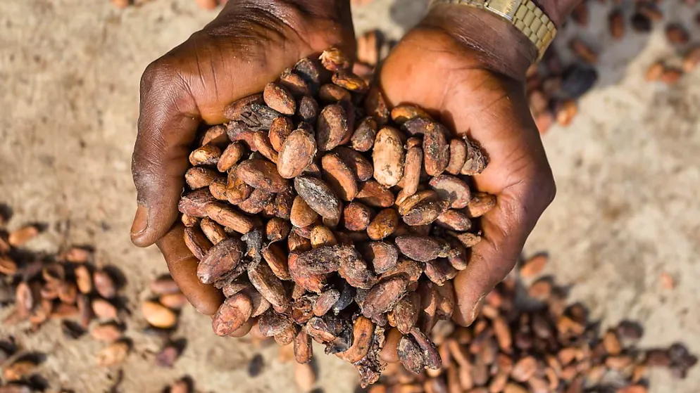 La hausse de l'indice des prix à la production par rapport à février dernier est principalement due à l'augmentation des prix des produits à base de cacao et de chocolat ainsi que du café et du thé transformés (archives).