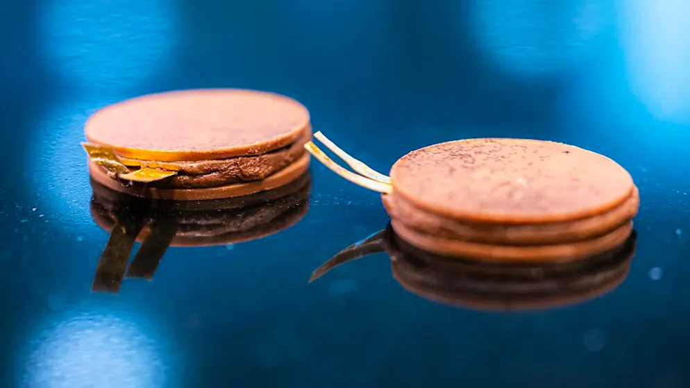 Prelibate batterie al cioccolato fondente, stando all'EPFL.