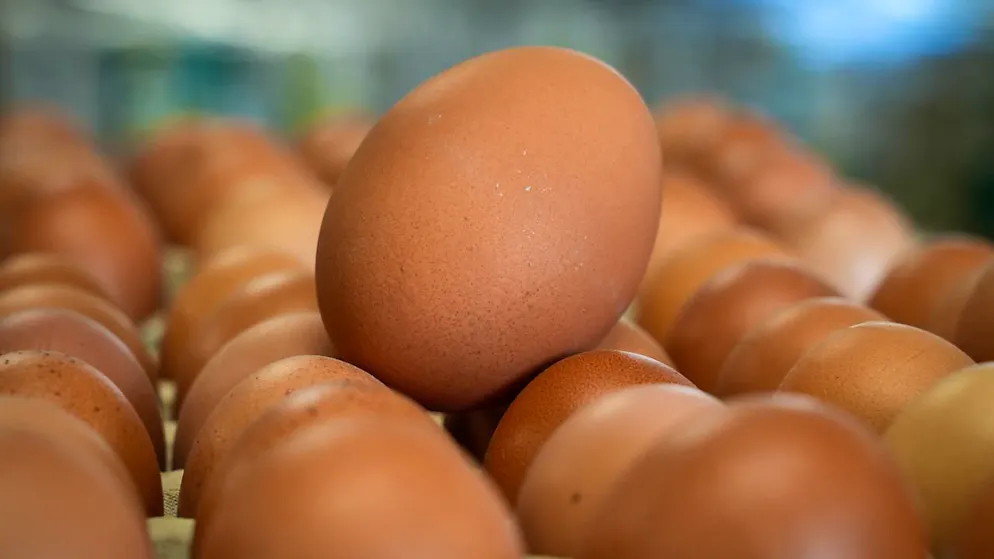 L'anno scorso sono state mangiate in media a testa 197,7 uova (foto d'archivio)