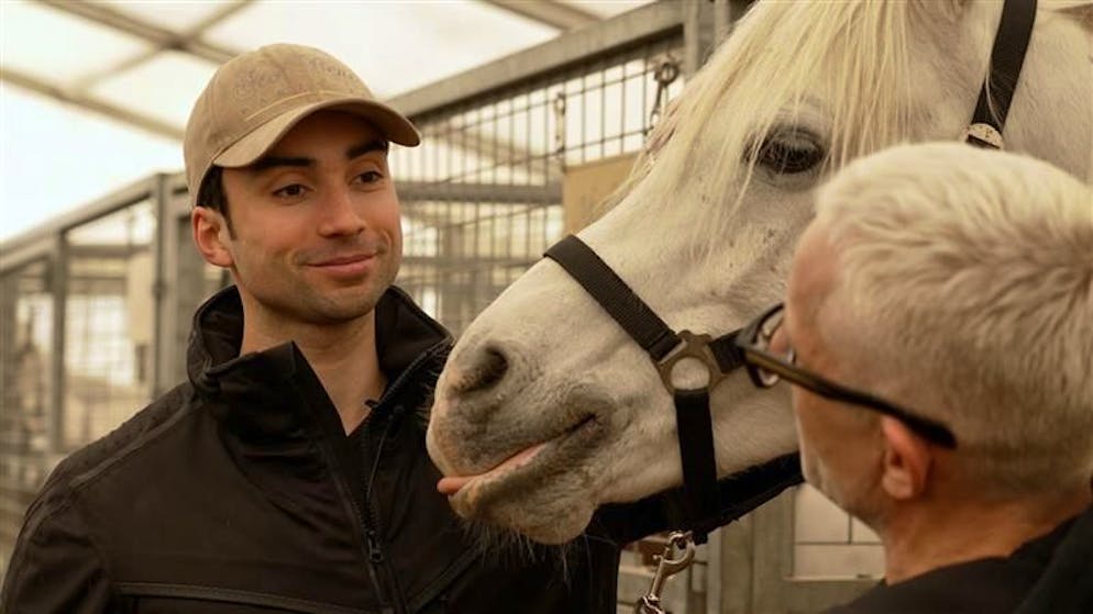 Bötschi fragt Ivan Knie. «Die Pferde brachten mir bei, selbstkritisch zu sein»
