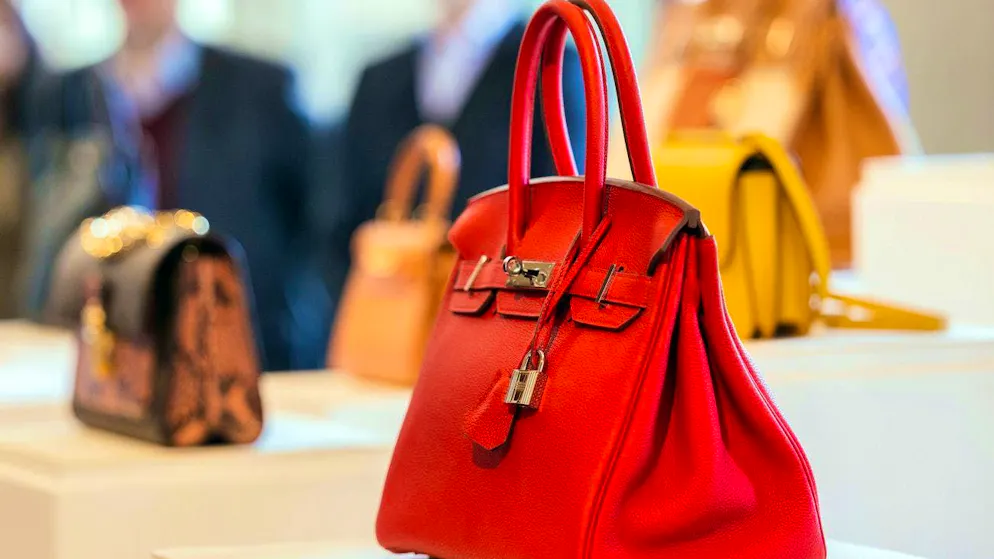 Object of desire weighing around 38,000 dollars: a luxury handbag "Birkin Bag" from Hermès.