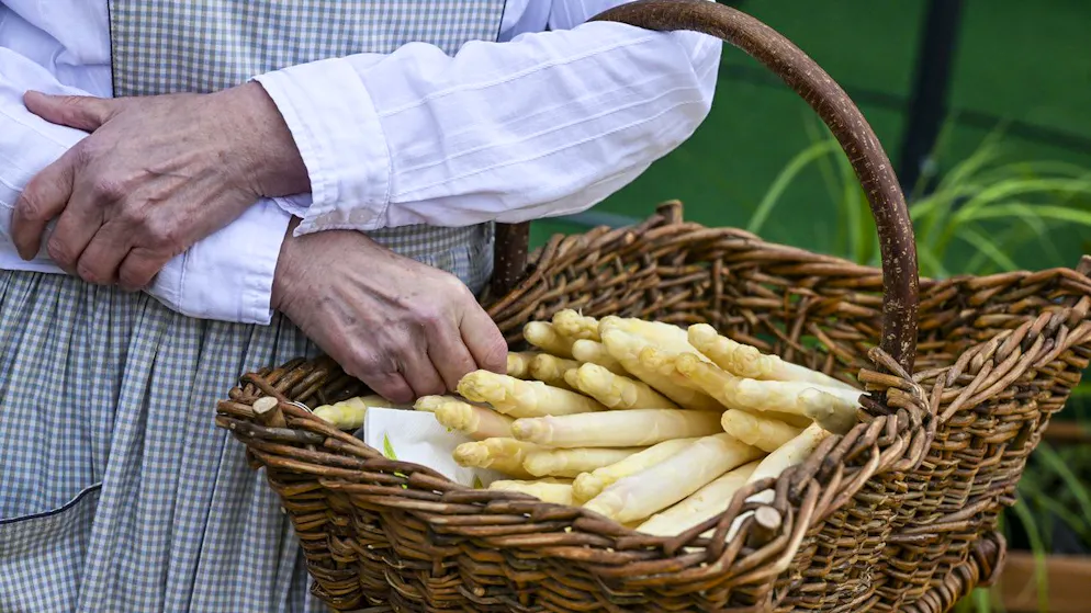 Prodotti svizzeri. Ecco come evitare errori nel cucinare gli asparagi e a quale vino abbinarli