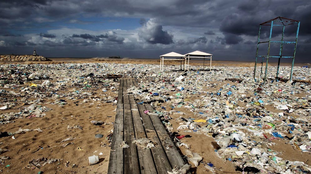 Forscher alarmiert. Mikroplastik in der Umwelt könnte sich bis 2060 vervielfachen