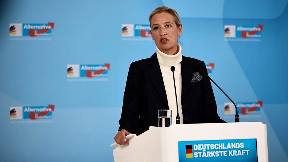 La leader dell'Afd Alice Weidel