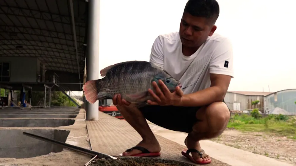 Increased customs duties. Trump's tariff policy threatens Chinese fish farming