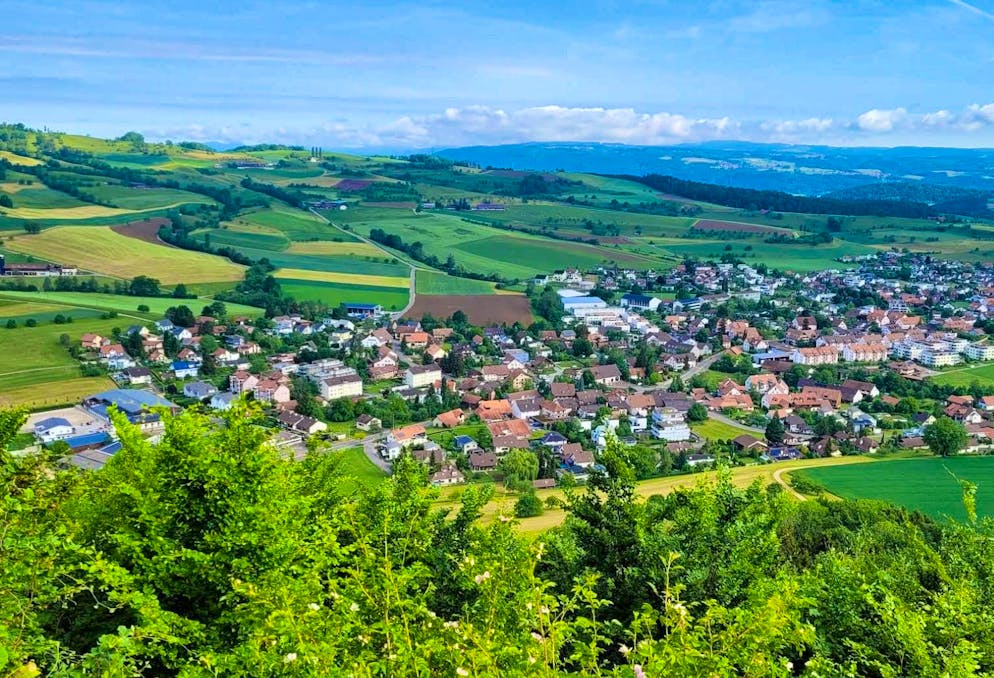 Gipf-Oberfrick becomes a tourist hotspot every spring. 