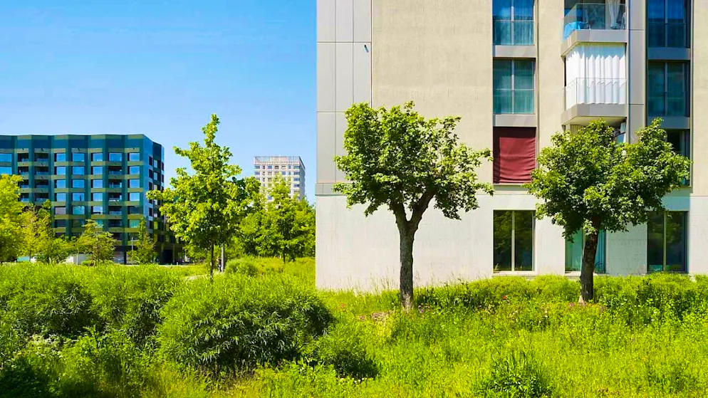 According to a study, green spaces in cities reduce the stress of city dwellers. (archive image)
