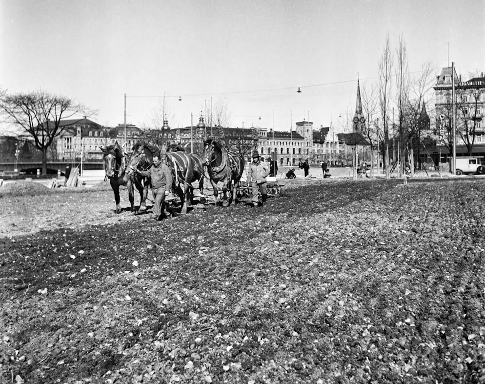 Farmers plow the square in front of the Zurich Tonhalle. The Sechseläutenwiese was also turned into a field as part of the Swiss cultivation battle during the Second World War.
