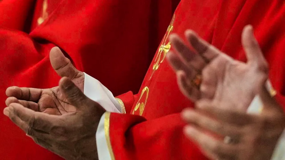 Cardinals take part in a mass in St. Peter's Basilica on the fourth of nine days of mourning for the late Pope Francis. Photo: Andrew Medichini/AP/dpa