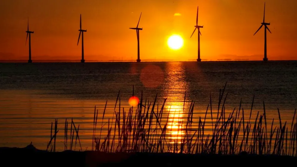 ARCHIVE - The sun rises behind wind turbines in Copenhagen. Photo: Steffen Trumpf/dpa