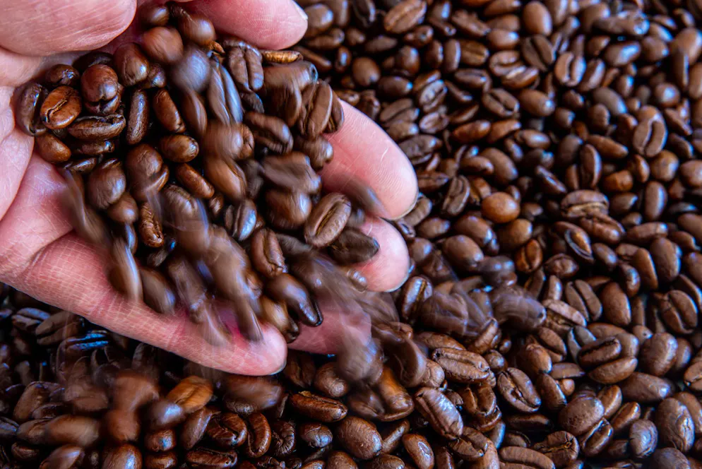 Kaffe-Facts und kurioses. Abgesehen vom Geschmack schätzen wir Kaffee vor allem wegen des Koffeins als Muntermacher. Doch in jeder kleinen Bohne steckt noch so viel mehr, das gut für uns sein kann: Eiweiss-, Mineral- und Aromastoffe, Alkaloide, Öle und Säuren. (Symbolbild)