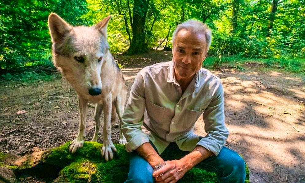 "We can't just lie in wait for weeks until something happens - like the BBC does in its nature films": Hannes Jaenicke on his animal documentaries.