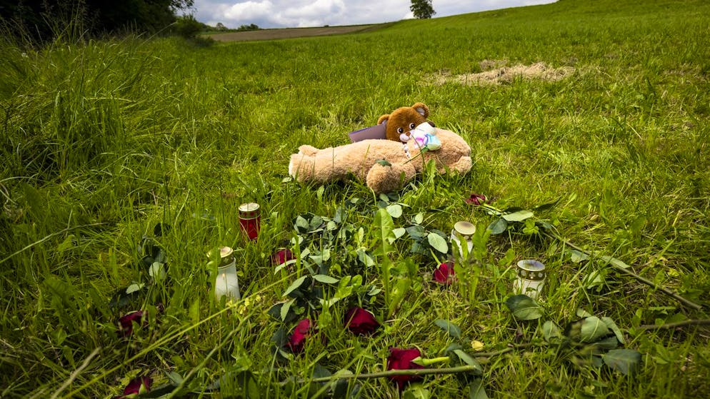 Experte ordnet Tötungsdelikt in Berikon AG ein. «Je schwerer ein Gewaltdelikt ist, desto seltener sind Mädchen die Täterinnen»