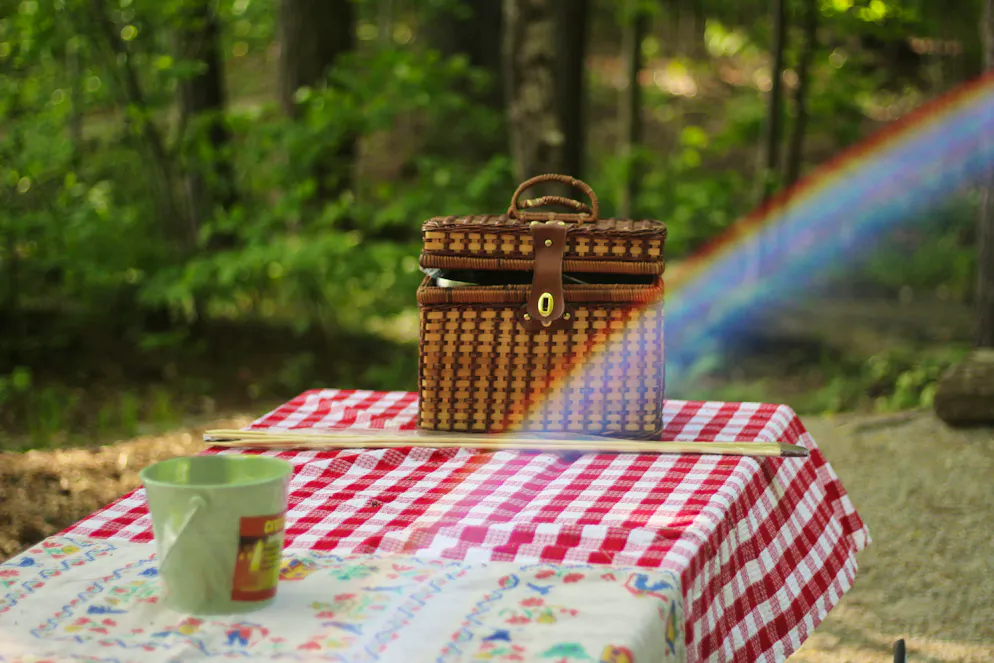 Der« Jam Girl Summer» steht im Zeichen der karierten Picknickdecke.