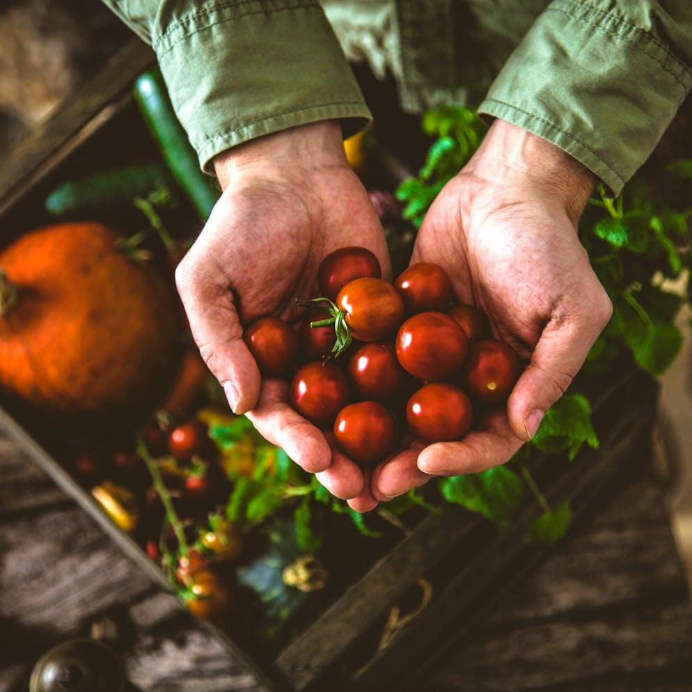 Polluants éternels. Manger des fibres, une solution pour réduire l’exposition aux PFAS ?