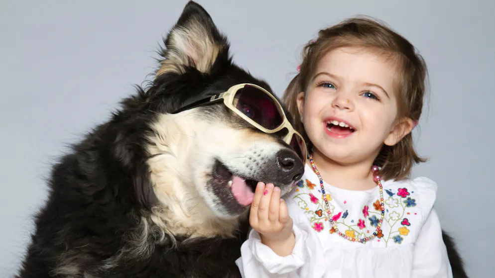 Verhätschelt wie Babys. Sind Hunde die besseren Kinder? In bestimmter Hinsicht schon