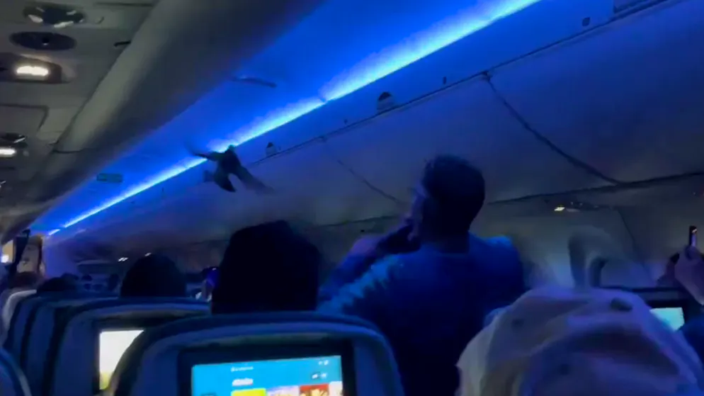 Passeggeri inattesi. Ecco come due volatili hanno causato il caos e il ritardo di un volo Delta Airlines