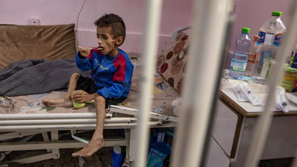 Navire d'aide pour Gaza avec Greta Thunberg à bord - Gallery. La situation humanitaire est désastreuse dans la bande de Gaza, où "100% de la population" est "menacée de famine", selon l'ONU, après un blocus de plus de deux mois de l'aide, qu'Israël n'a que partiellement assoupli la semaine dernière.