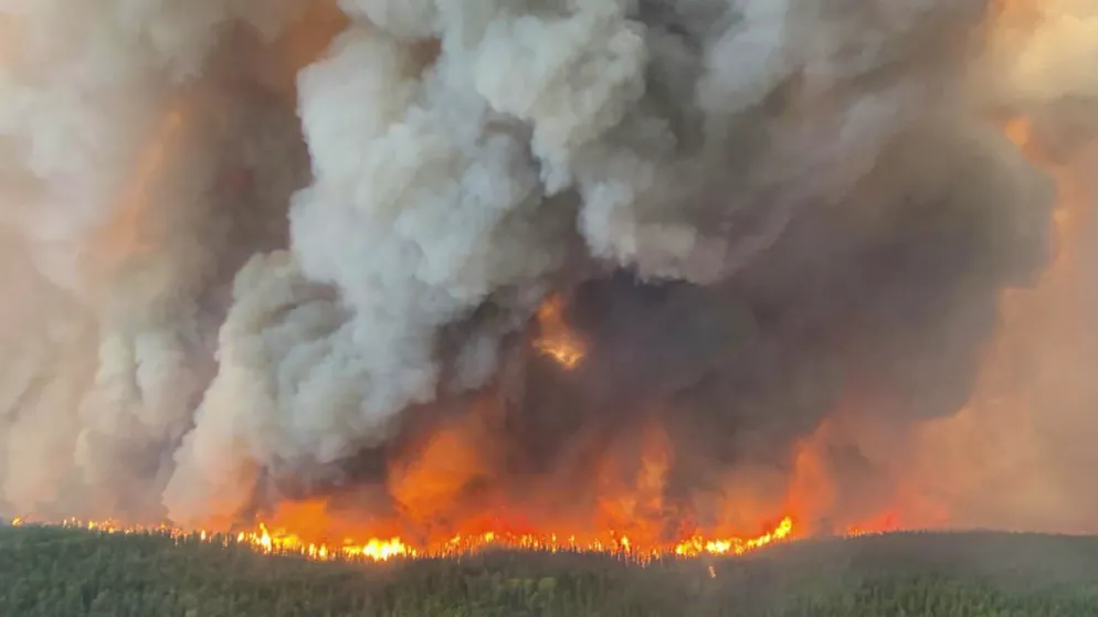 D'importantes fumées dues aux violents feux de forêt au Canada atteignent l'Europe ces derniers jours.