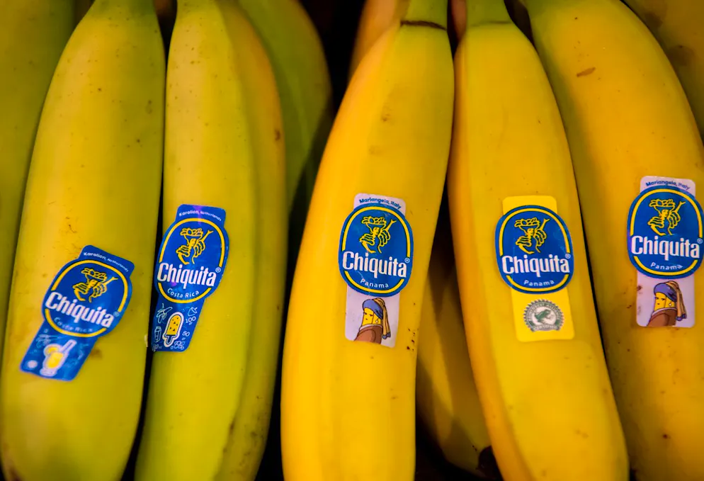 La filiale panaméenne du géant américain de la banane Chiquita Brands va licencier tout son personnel restant, soit 1600 personnes, après plus d'un mois de grève contre une réforme des retraites, a annoncé le gouvernement de droite lundi.