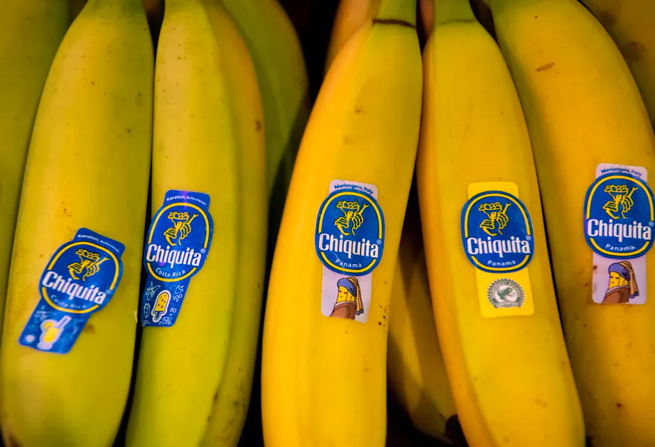 Boutons De Manchette Chiquita Banane – Jaune – Acier Inoxydable – Neuf