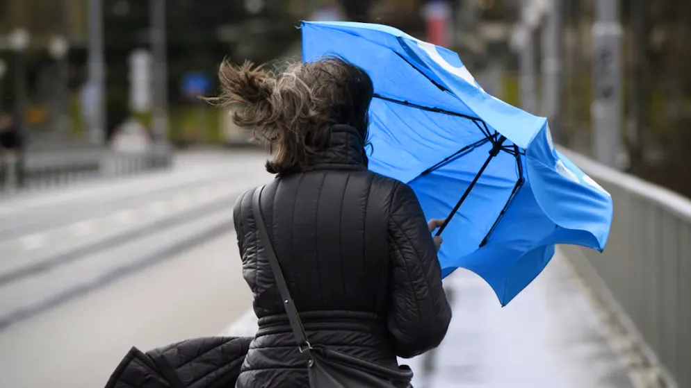 Les orages pourraient s'accompagner de fortes rafales de vent et d'intenses précipitations (image d'illustration).