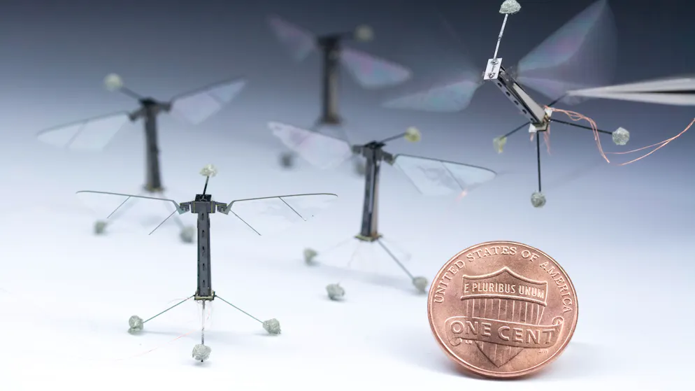 Harvard forscht an Roboterbiene. Noch sind sie am Kabel – aber schon bald könnten sie Bienen ersetzen