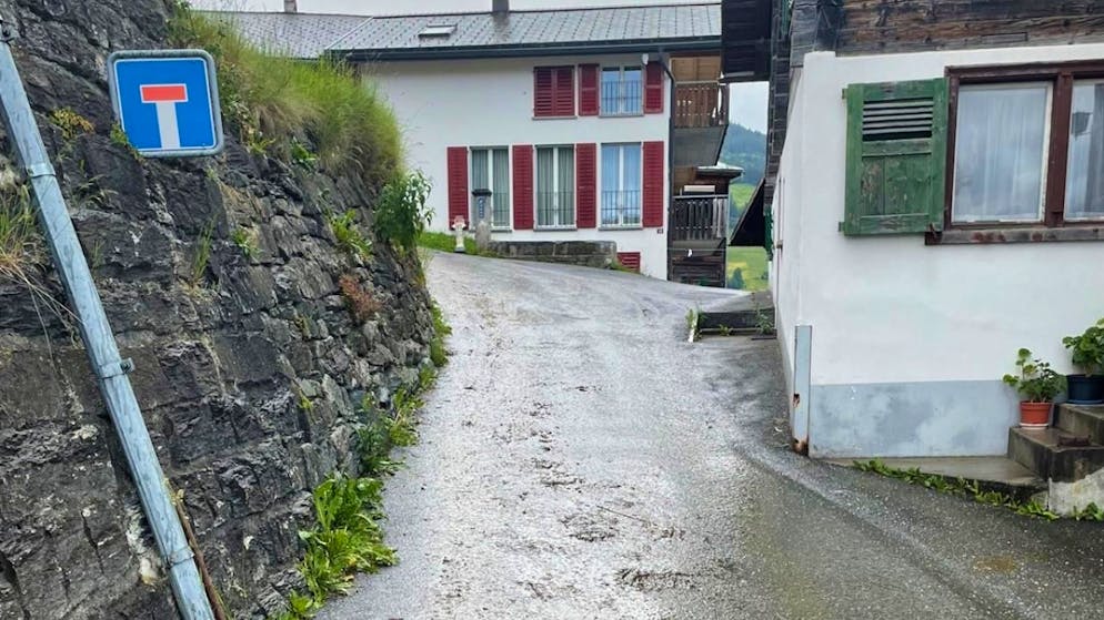 L'incidente è avvenuto in un punto stretto del paese di Andiast, dove la donna di 91 anni è stata schiacciata dal bestiame.