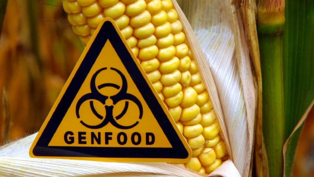 Agriculture. Parliament wants to extend genetic engineering moratorium by five years