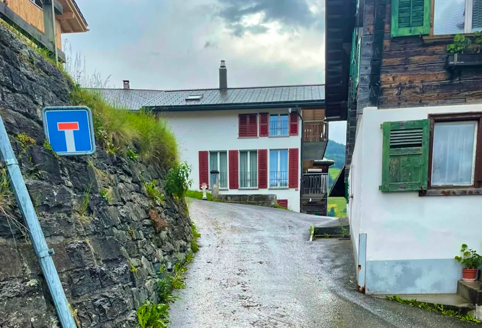 La femme de 91 ans est décédée sur place.