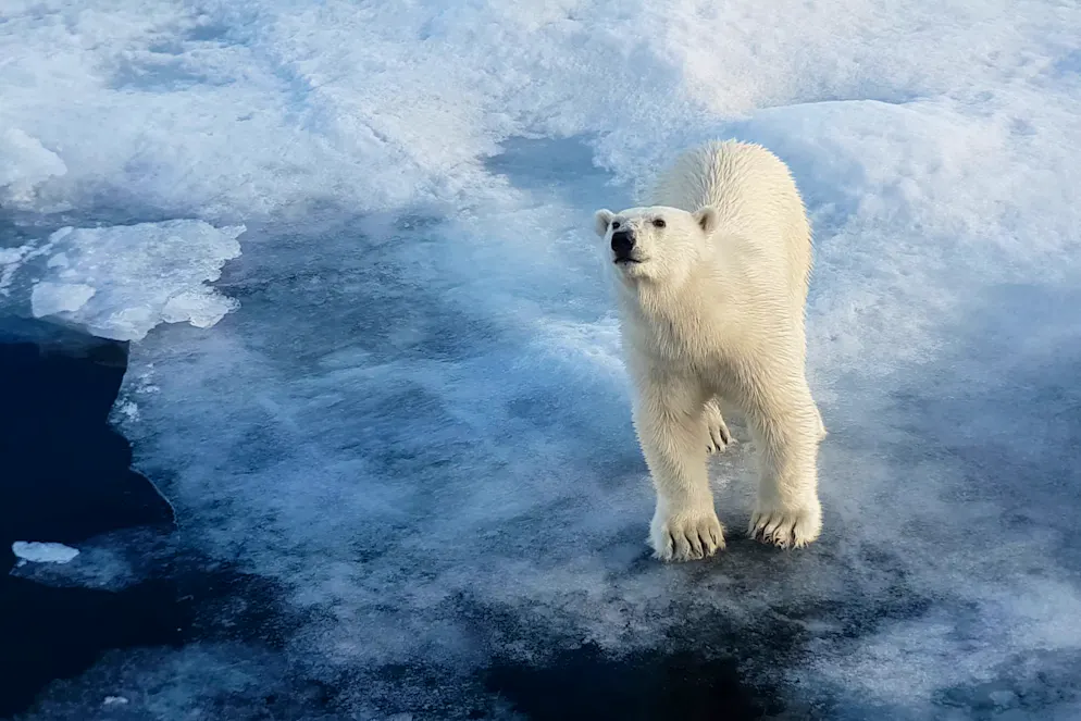 Für die Administration Trump hat der Klimawandel keine Priorität. Der Schweizer Klimaforscher Flavio Lehner ist Professor an der Cornell University NY und sieht schwierige Zeiten kommen.