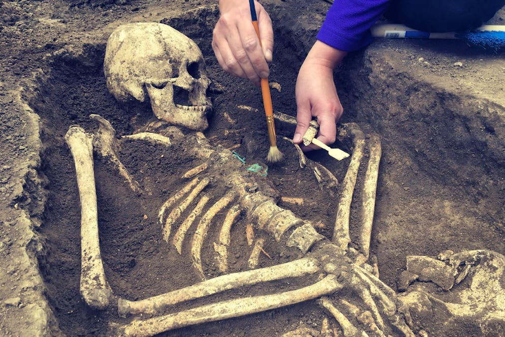 L'étude montre à cette époque des débuts du genre Homo une diversité et une complexité plus grandes qu'on ne le pensait.