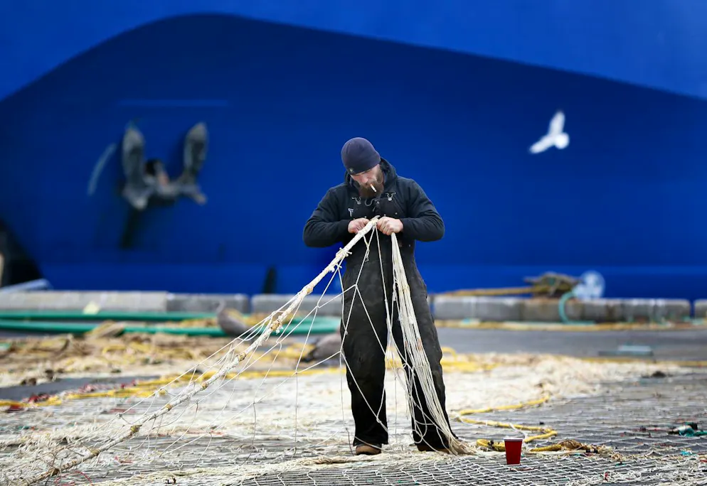 Greenpeace plaide pour une interdiction du chalutage de fond dans l'ensemble des aires marines protégées françaises (image d'illustration).