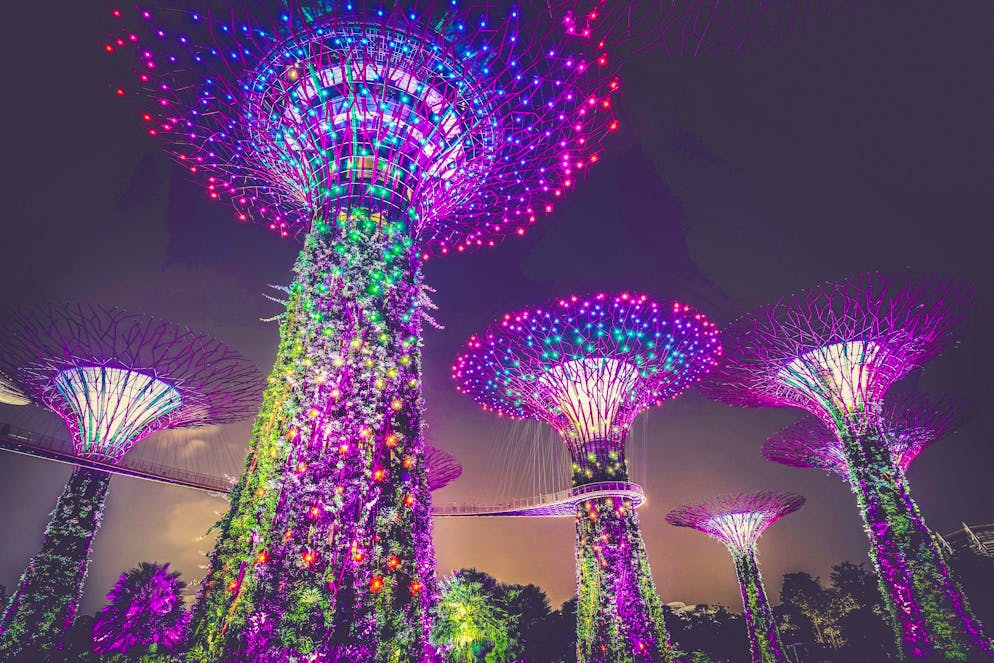 I Gardens by the Bay a Singapore di notte.
