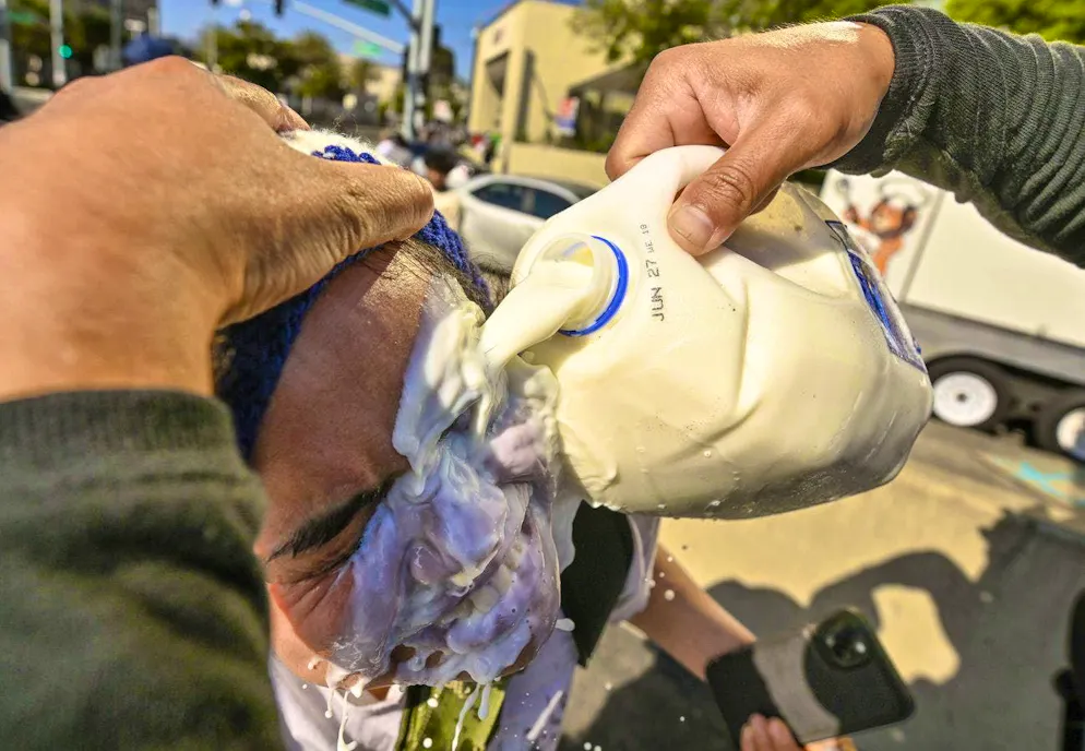 Protests L.A.. A demonstrator washes his face with milk after the police used tear gas and stun grenades in front of the federal building in Santa Ana.