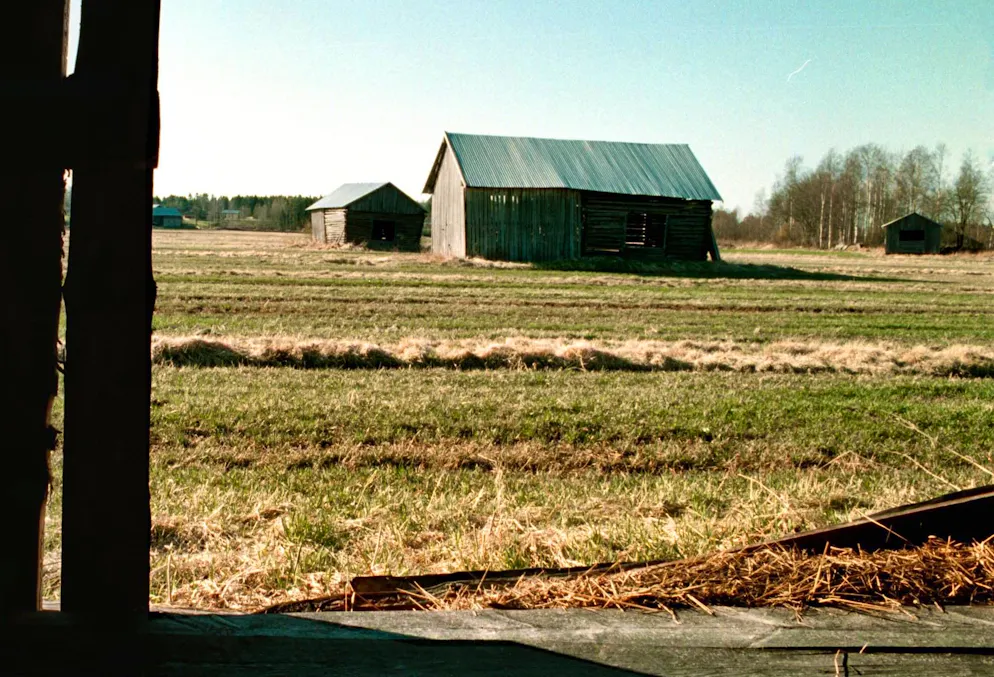 La famille a disparu le 15 mai 2024 de la région d'Ostrobotnie, dans l'ouest de la Finlande, où elle vivait. (Photo d'illustration)