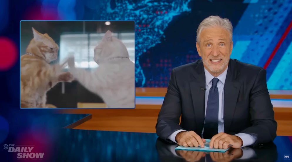 «Zwei f****** Muschis»: Wie die «Daily Show» den Kampf zwischen Musk und Trump sieht.