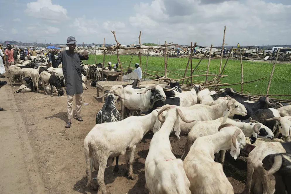 Dans le centre du pays, les terres disponibles pour l'agriculture et l'élevage se réduisent régulièrement à cause du changement climatique et de l'expansion humaine, ce qui entraîne une concurrence parfois mortelle pour un espace de plus en plus limité. (Photo d'illustration)
