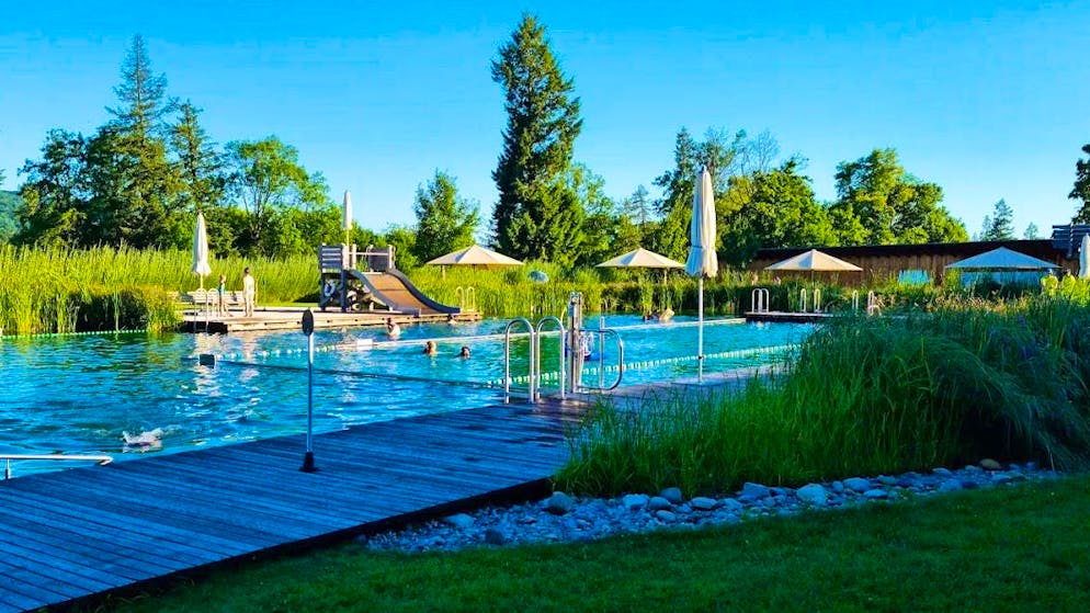 The Riehen natural pool near Basel was designed by architects Herzog & de Meuron.