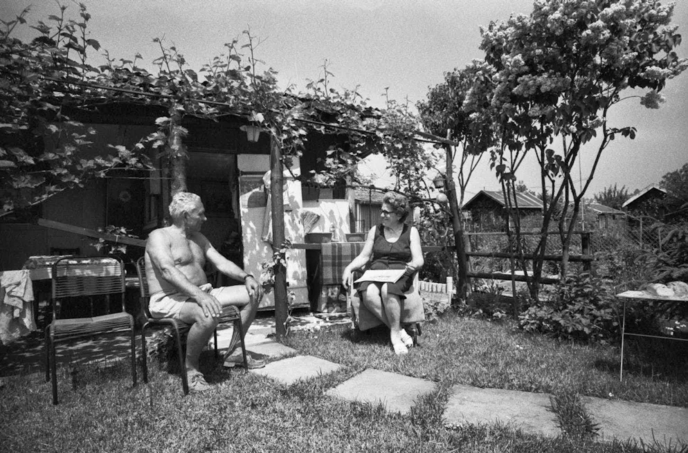 Allotment garden idyll in the Zurich area, photographed in August 1978.