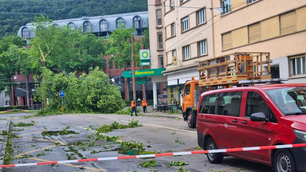 Un arbre et des branches sont tombés sur la chaussée à Bienne suite à un violent orage.
