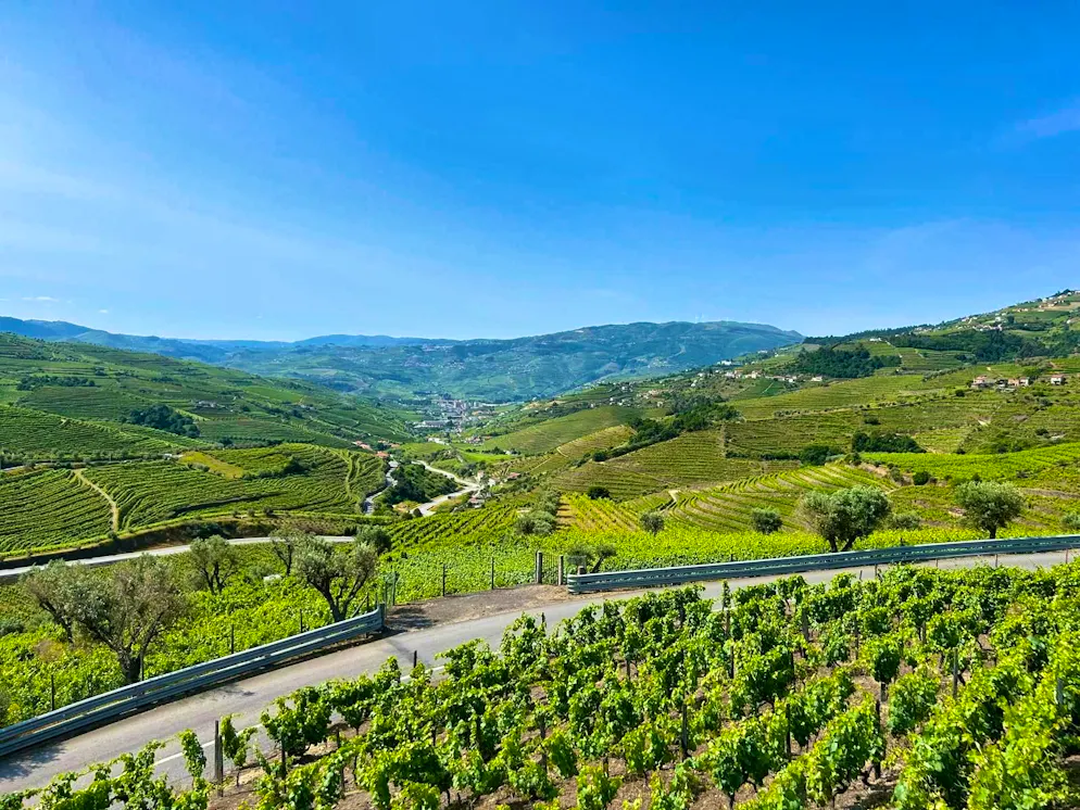 The famous Port wine comes from the Duoro Valley, from which a Spritz variant is offered in the town of the same name.