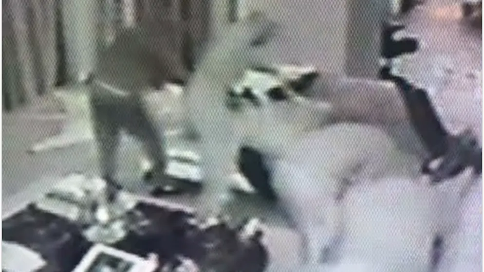 Attack on Carmen and Robert Geiss. Surveillance video shows the brutality of the armed thieves