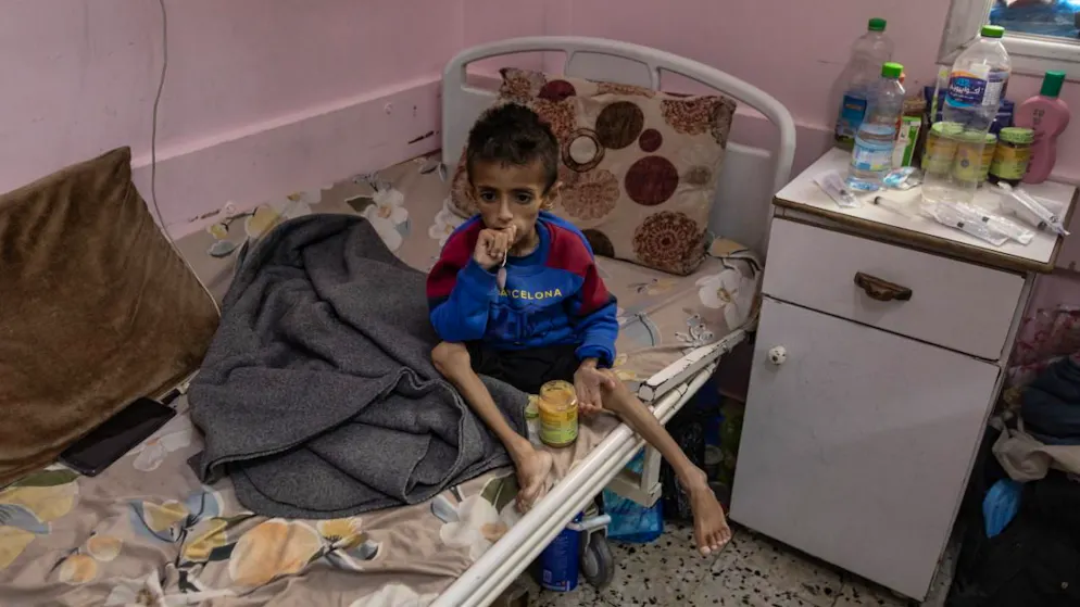 Gaza: 33 personnes tuées par des tirs israéliens - Gallery. Début mars, Israël a imposé un blocus humanitaire total à la bande de Gaza, menacée de famine selon l'ONU, qu'il n'a assoupli que partiellement fin mai.