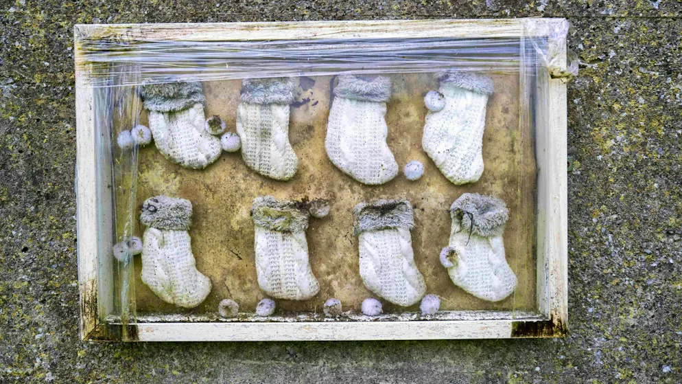 The horror of Tuam: Search for baby corpses has begun - Gallery. The fate of almost 800 babies and toddlers shocked Ireland.