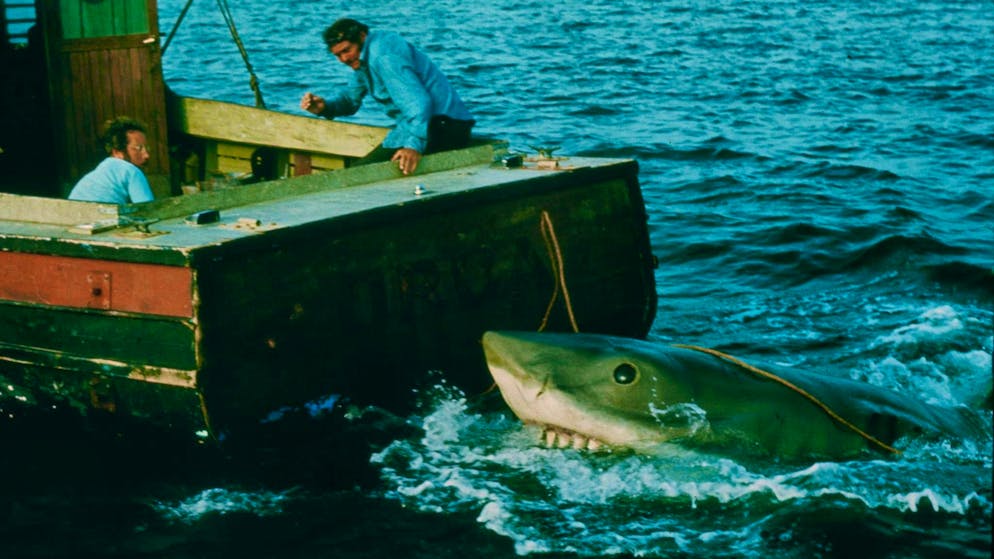 Daa-dam, Daa-dam: 50 years of